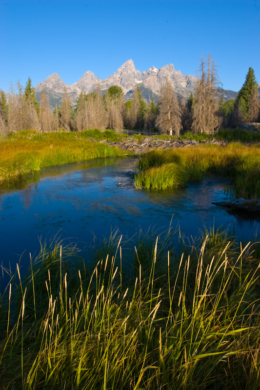 The Teton Range Above Beaver Dam